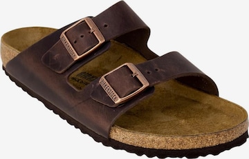 BIRKENSTOCK Sandaalit 'ARIZONA BS 052533' värissä ruskea: etupuoli