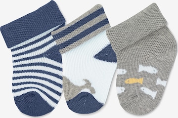 STERNTALER Socks 'Wal' in Blue