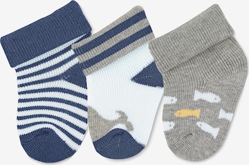 STERNTALER Socken 'Wal' in Blau