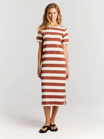 PROTEST Kleid 'PRTJuju'‌‌‌‌‌‌‌‌‌‌ in Braun