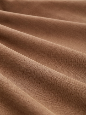 Sweat-shirt TOM TAILOR DENIM en marron