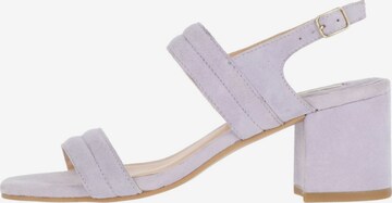 MEXX Sandals in Purple