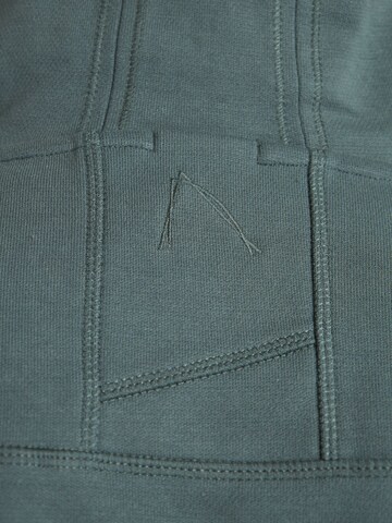CHASIN' Sweatshirt 'Harper' in Grün