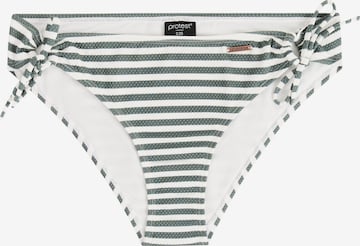 PROTEST Bikini Bottoms 'MIXCabana' in Green: front