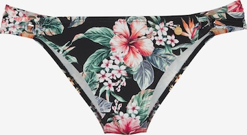 juoda LASCANA Bikinio kelnaitės: priekis