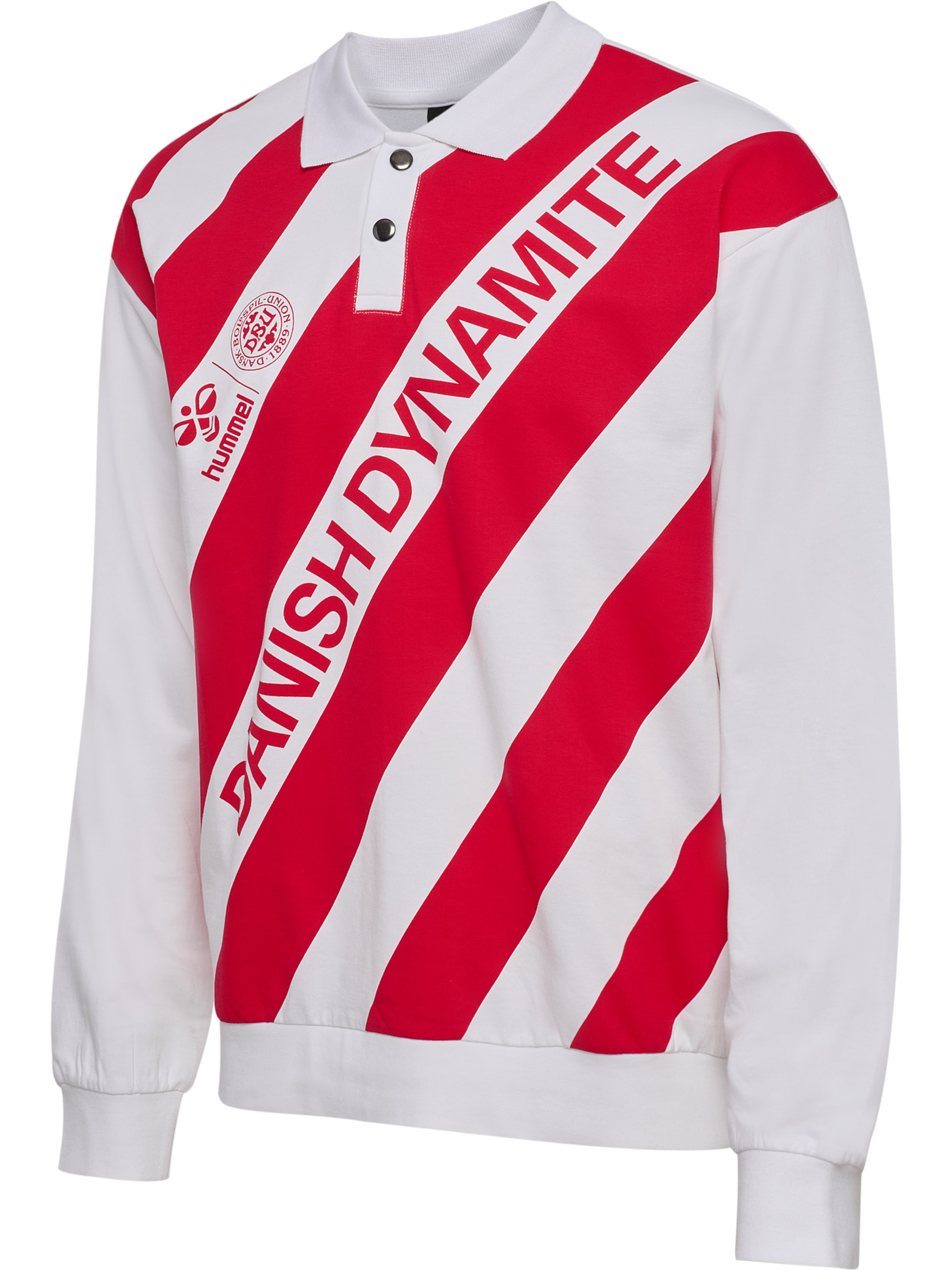 Hummel Shirt 'DBU 26 Fan Dynamite' in Wit