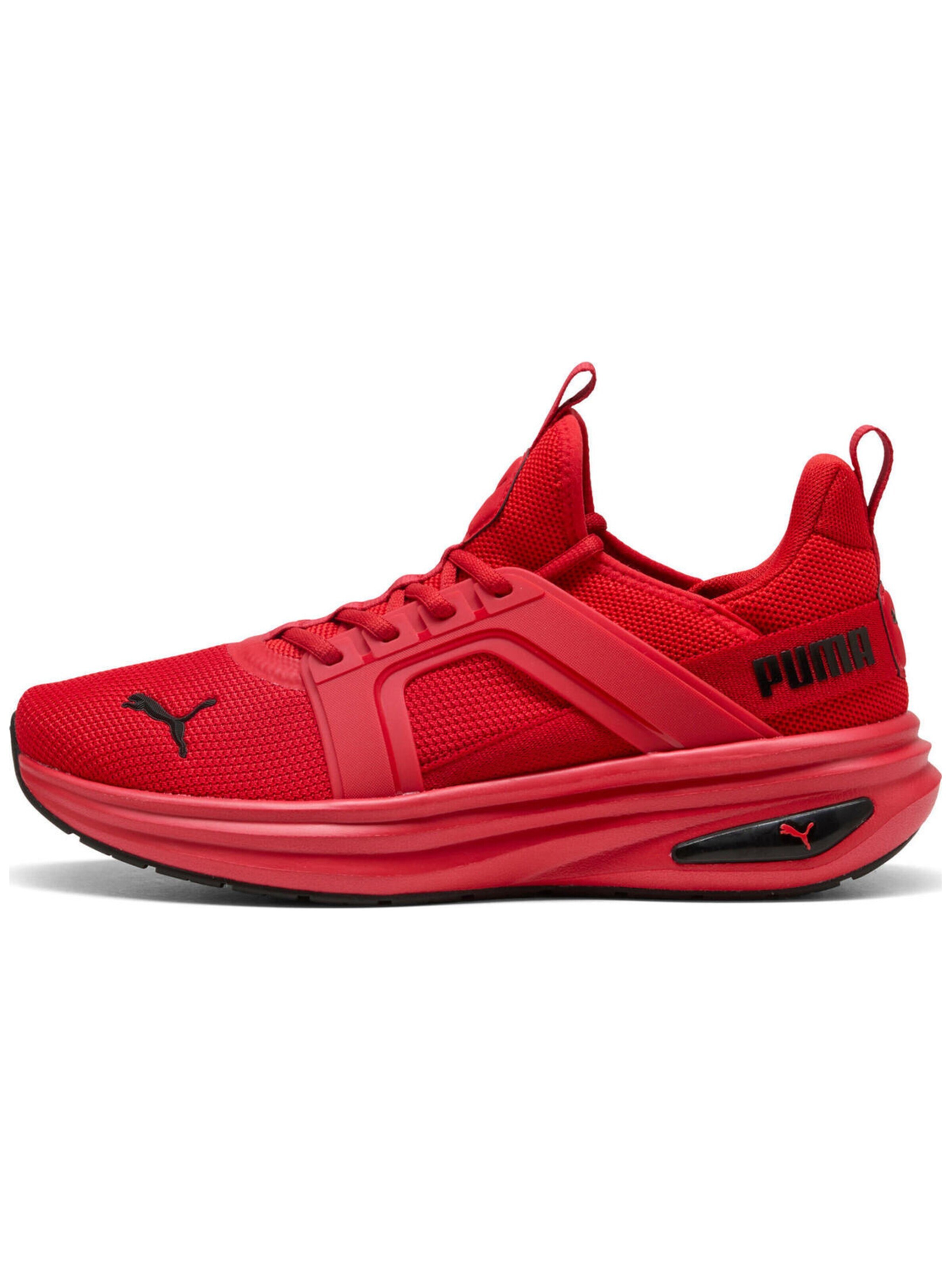Scarpa sportiva 'Puma Softride Enzo 6' in 38 PUMA di colore rosso, Visualizzazione prodotti