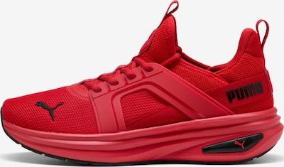 PUMA Sportschuh 'Puma Softride Enzo 6' in 38 in rot, Produktansicht