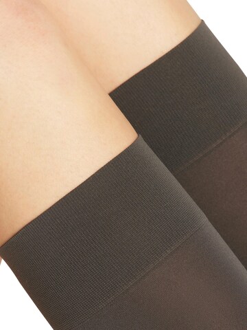 FALKE Overknee Strümpfe 'Pure Matt'‌‌‌‌‌‌‌‌‌‌ in Grau