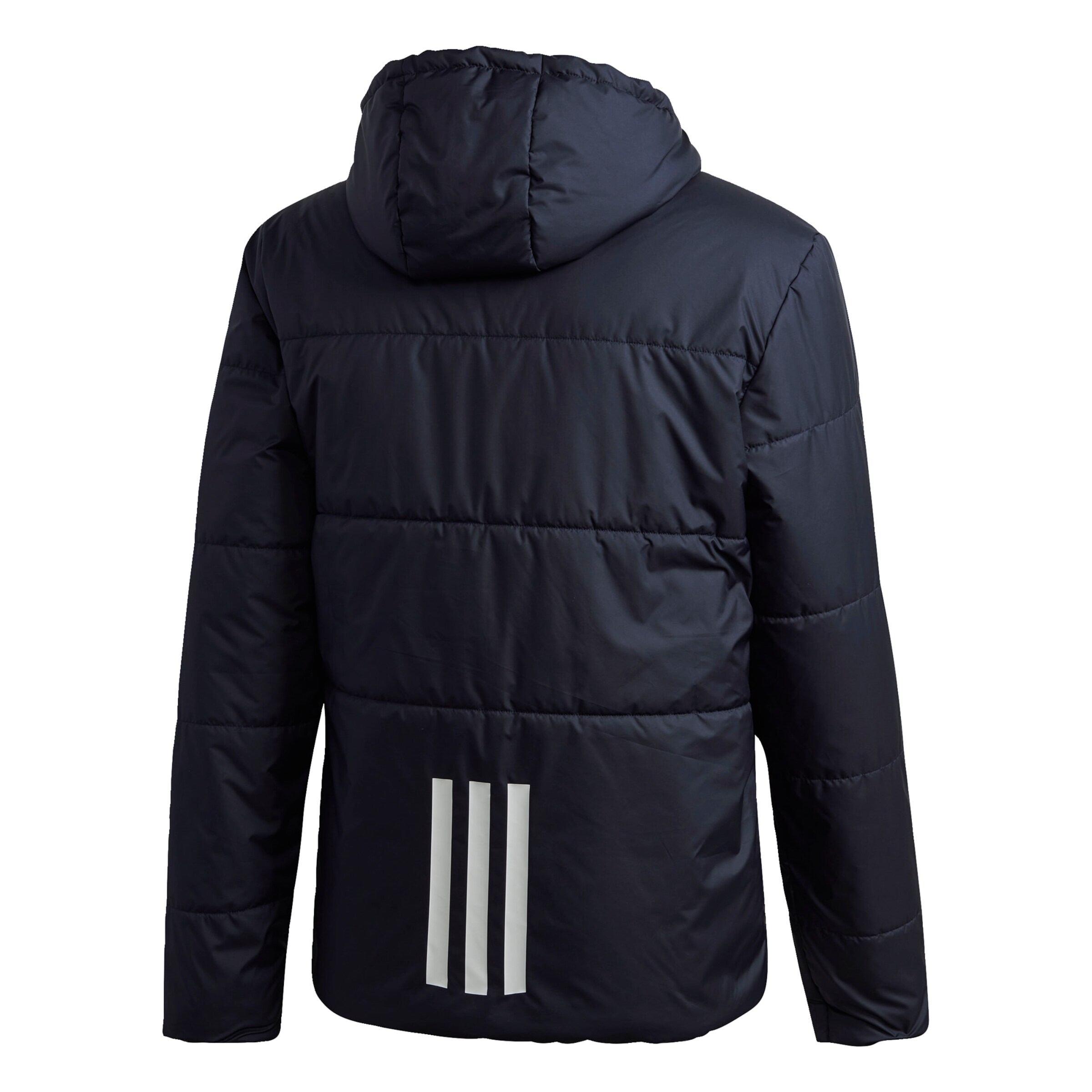Männer Sportarten ADIDAS PERFORMANCE Jacke in Nachtblau - DT59149 Männer Sportarten ADIDAS PERFORMANCE Jacke in Nachtblau - DT59149