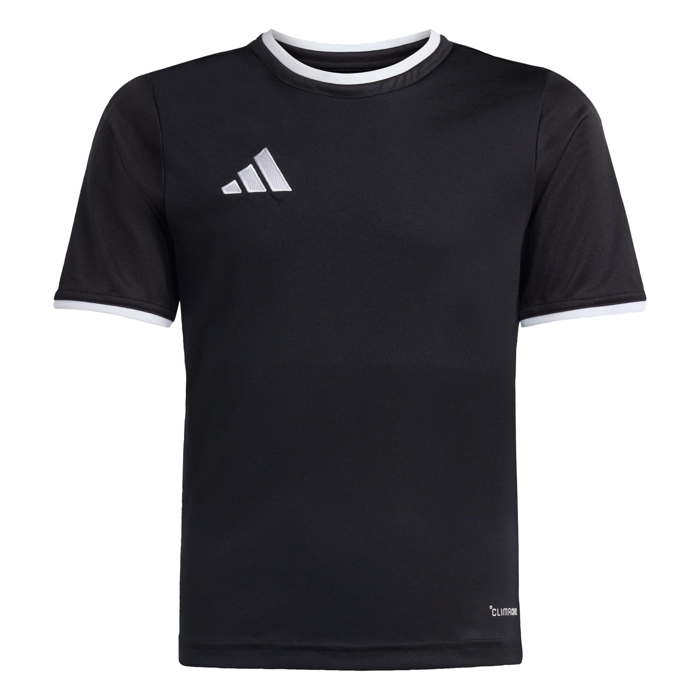 ADIDAS PERFORMANCE Trikot 'Entrada26' in Schwarz: Vorderseite