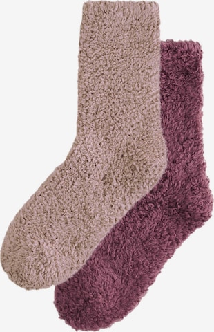 NextČarape - ljubičasta boja: prednji dio