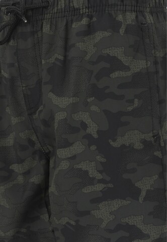 Cruz Swimming shorts in Green
