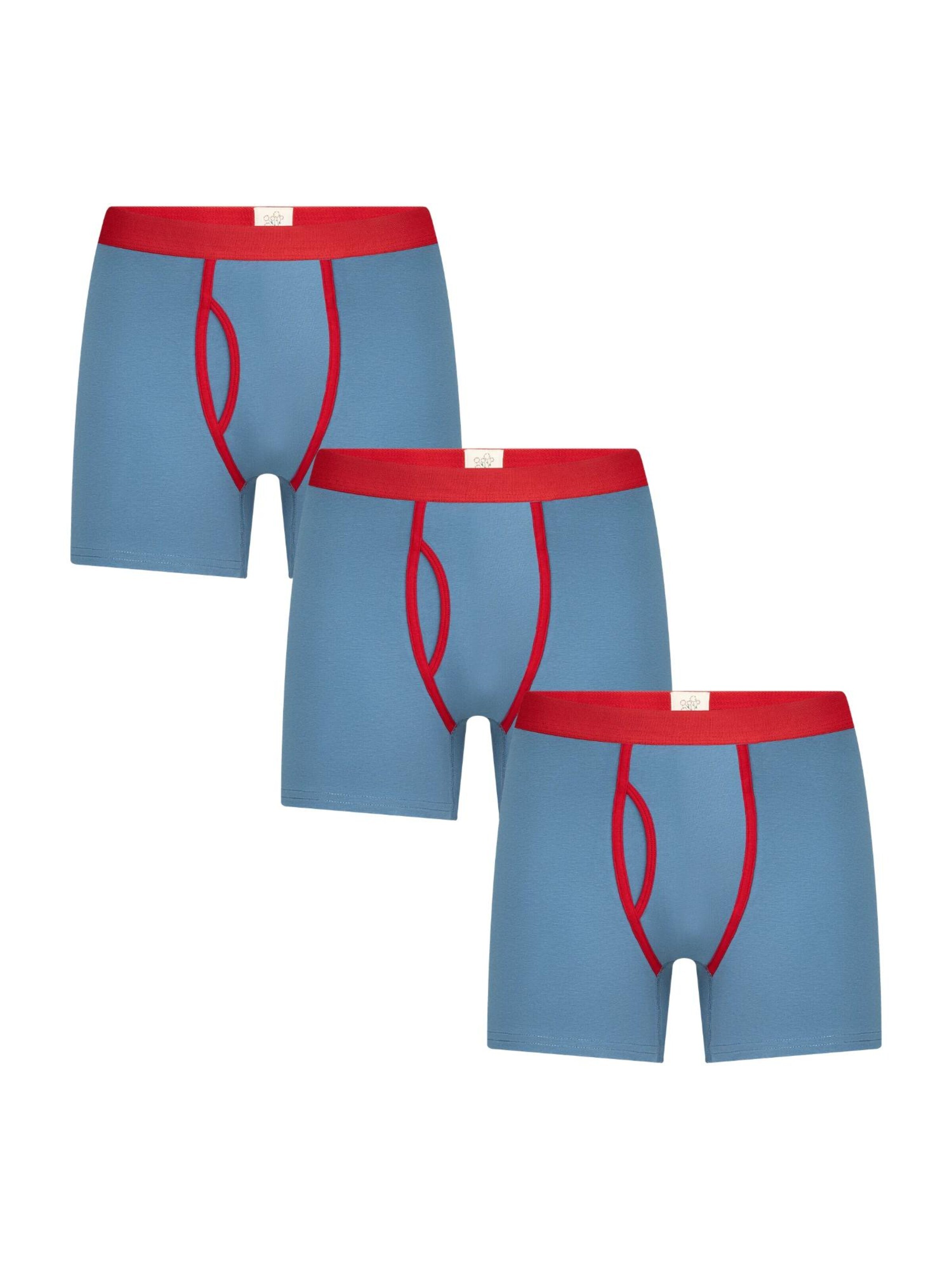 Albero Natur Boxer shorts in Blue: front