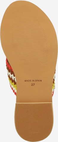 Fred de la BretoniÈre Mules in Mixed colors