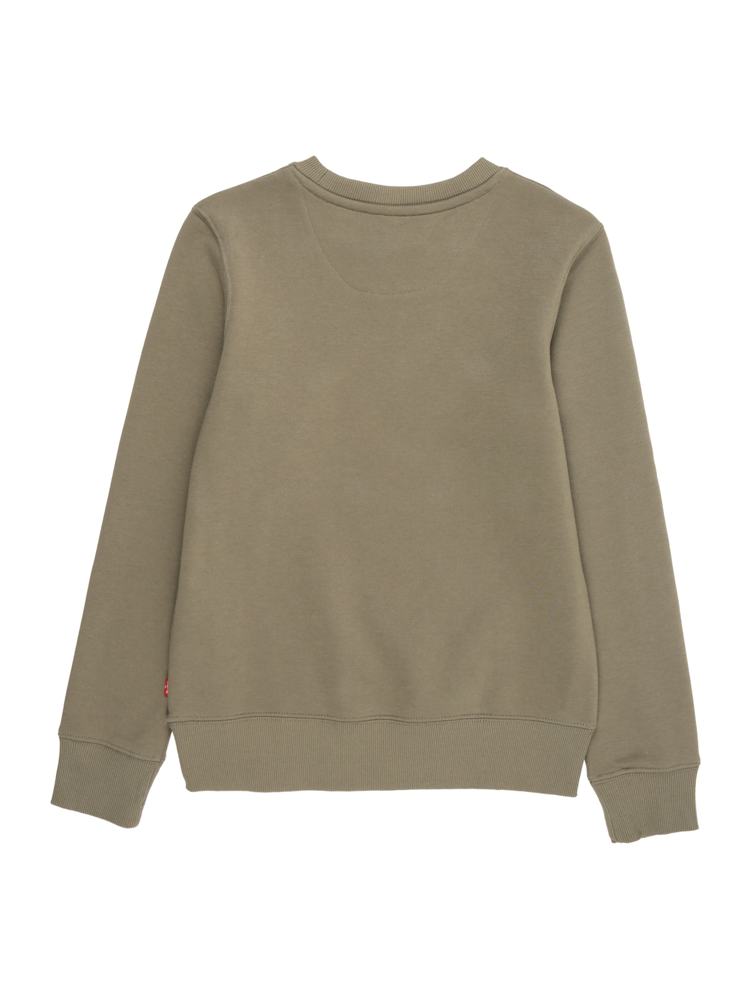 Levi's Kids Sweatshirt i grön