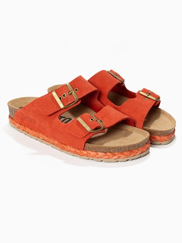 Bayton Mule 'Athena' in Red