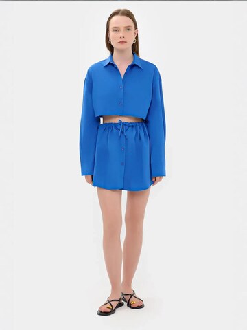 Hiccup Blouse in Blue