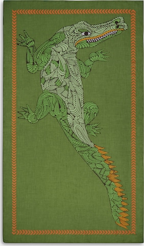 CODELLO Sjaal in Groen
