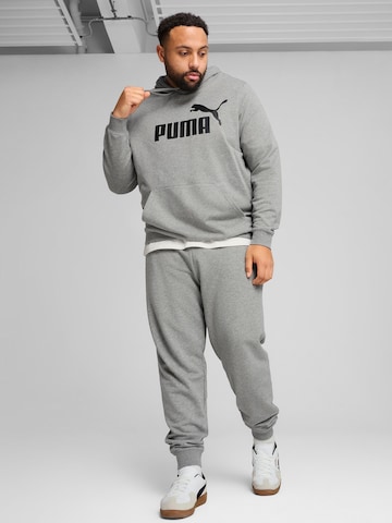 PUMA Спортивный свитшот 'ESS No. 1' в Серый