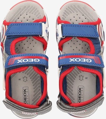 GEOX Offene Schuhe in Mischfarben