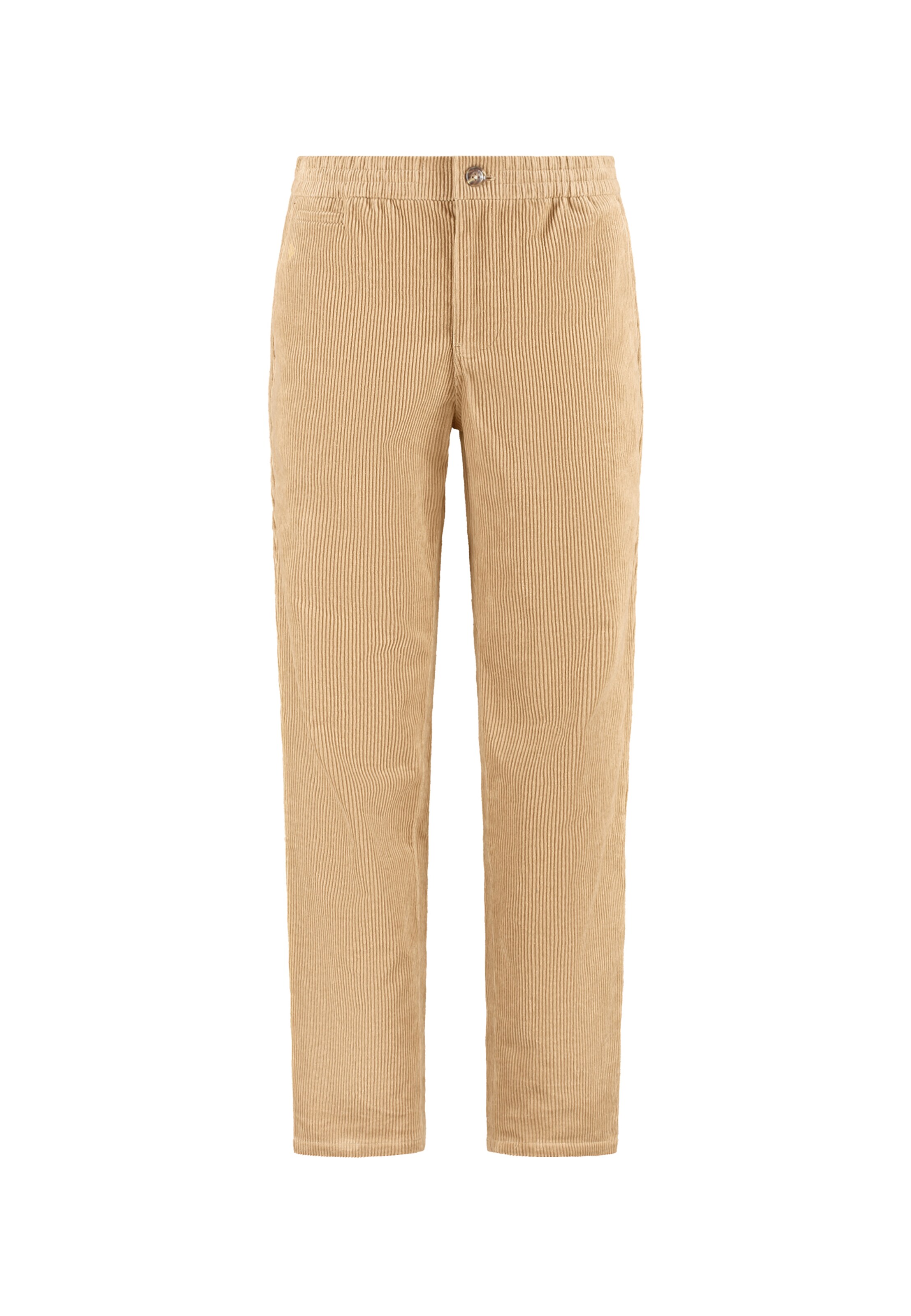 Regular Pantalon 'Alan Corduroy' Shiwi en beige : devant
