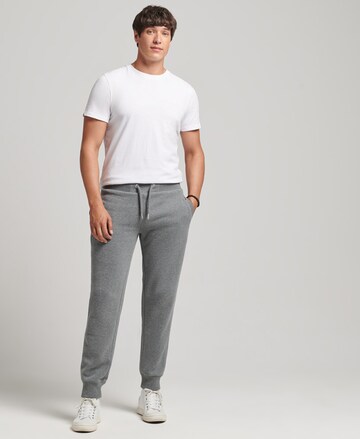 Effilé Pantalon Superdry en gris