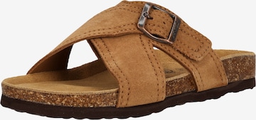 Cruz Pantolette 'Tellian' in Braun: Vorderseite