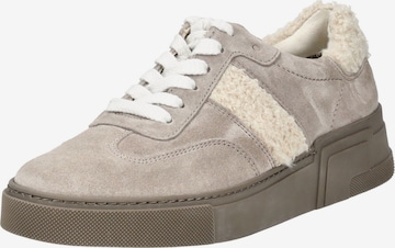 Baskets basses Paul Green en gris : devant