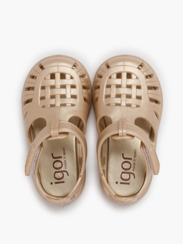 Claquettes / Tongs IGOR en or