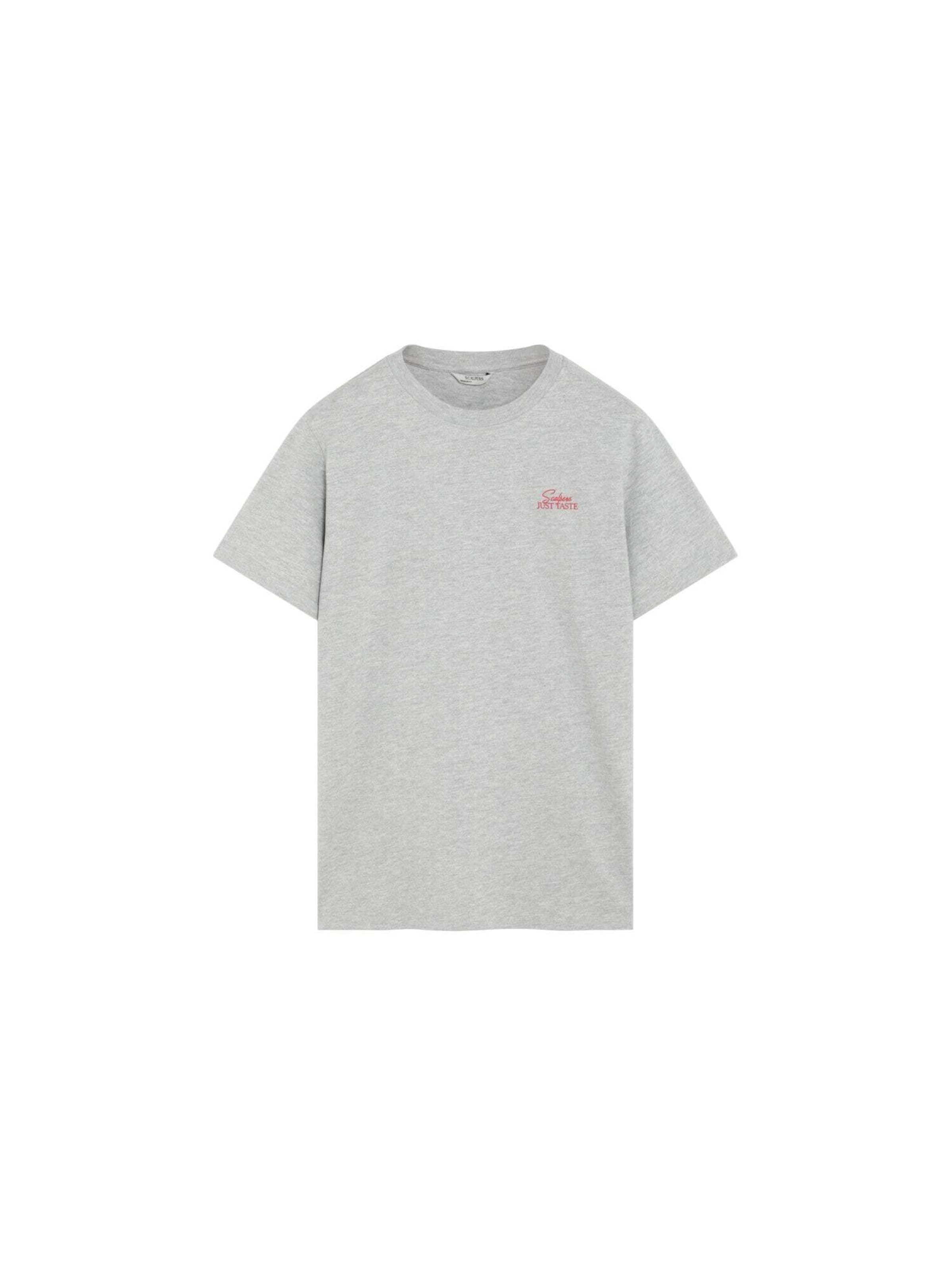 Scalpers T-Shirt en XS en gris / mélange de couleurs, Vue avec produit