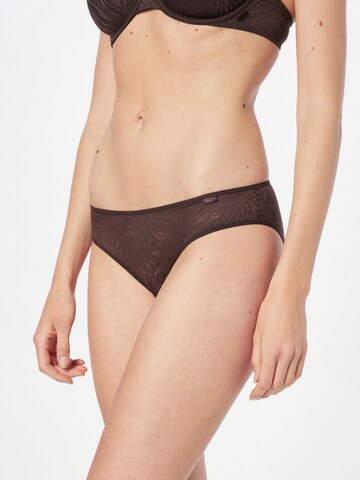 Slip 'Sheer Marquisette' Calvin Klein Underwear en marron : devant