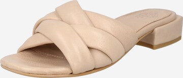 Apple of Eden Pantolette 'June' in Beige: predná strana