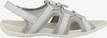 CAPRICE Hiking Sandals in Grey