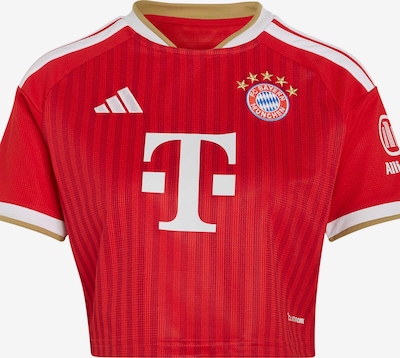 XS dydžio Triko 'FC Bayern München 26/27' iš ADIDAS PERFORMANCE, spalva – smėlio spalva / raudona / tamsiai raudona / balta, Prekių apžvalga