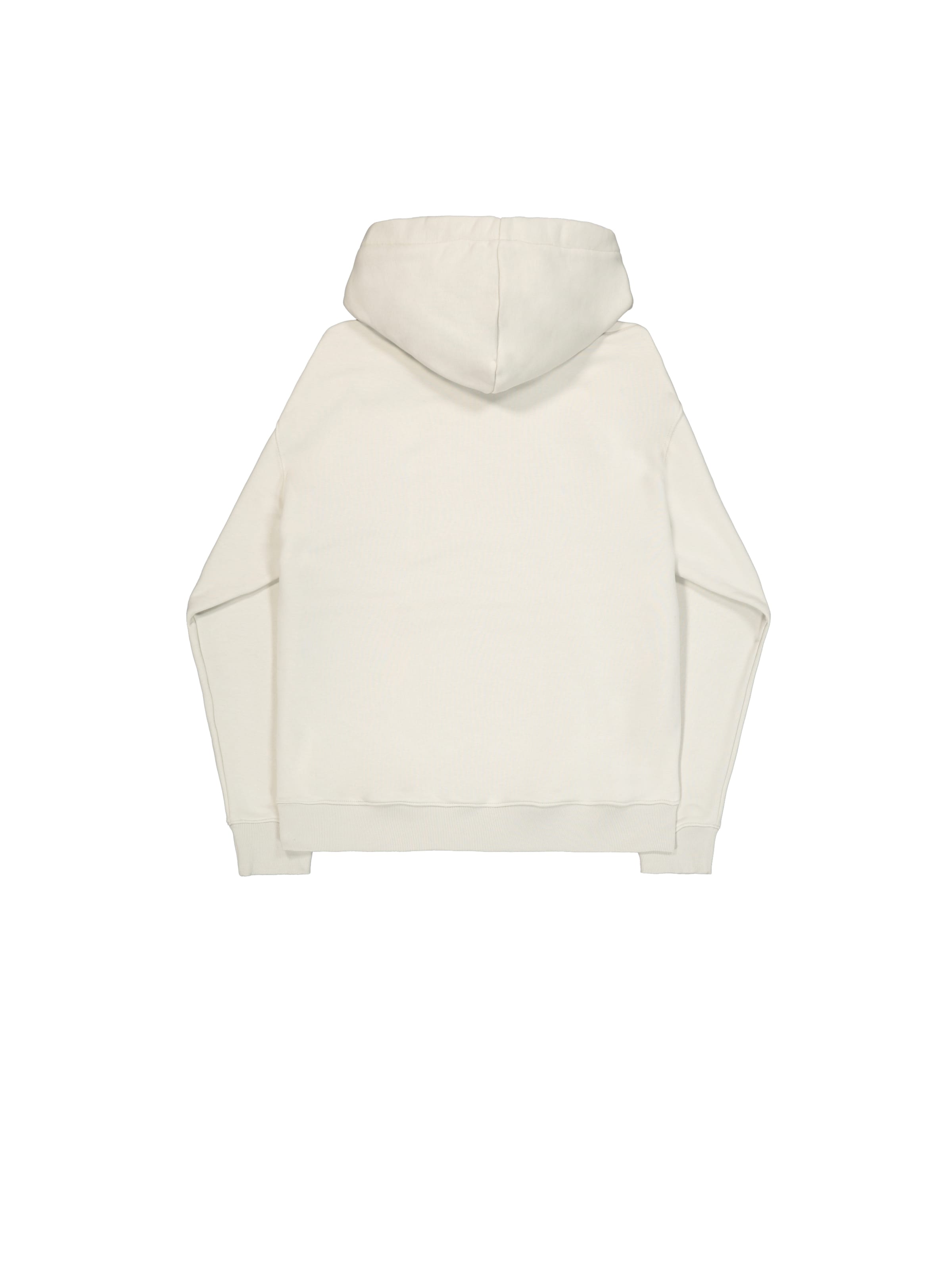 ALPHA INDUSTRIES Sweatshirt 'DTM ML' in Grau: Rückseite