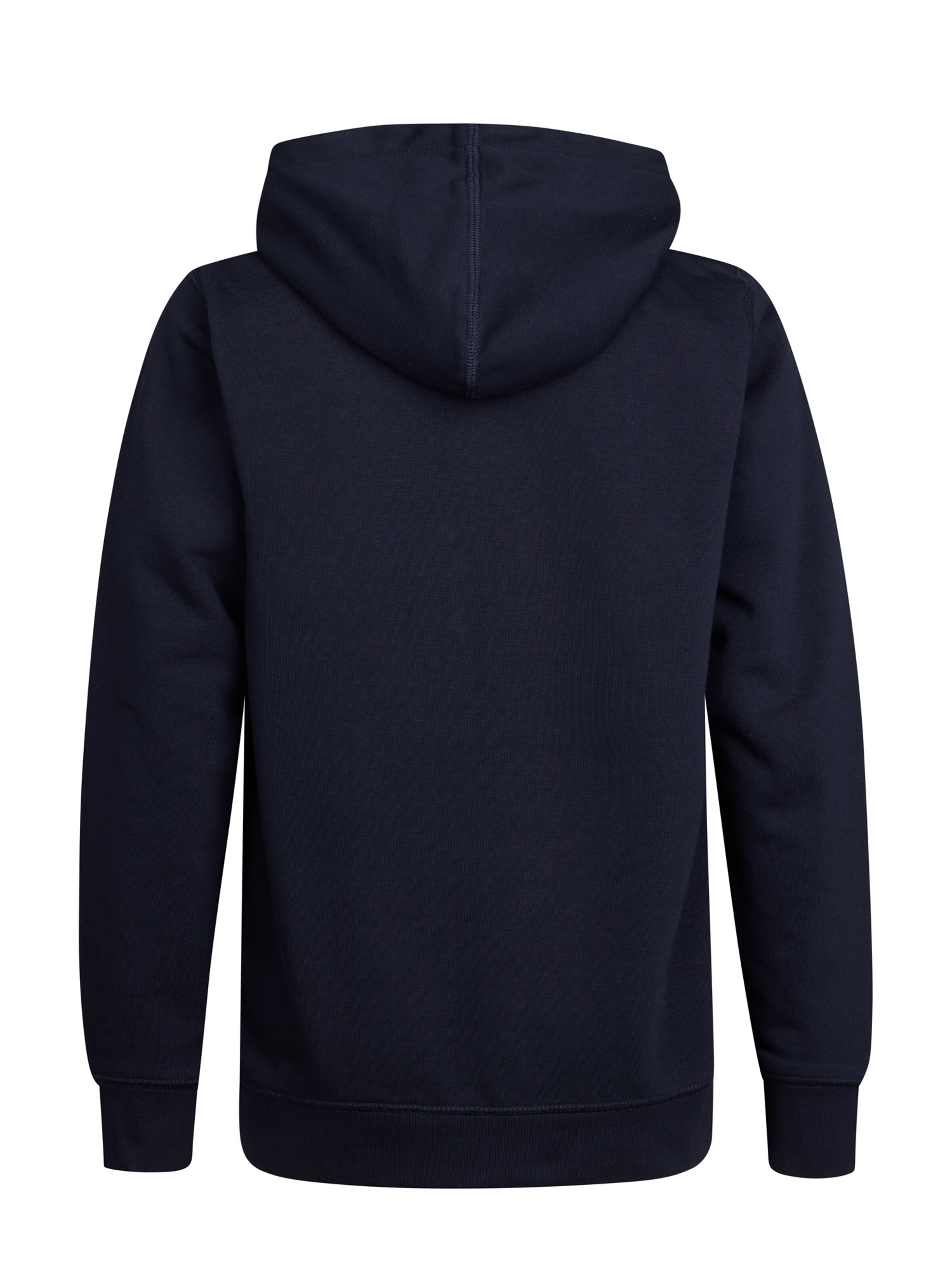 Petrol Industries Sweatshirt in Blue