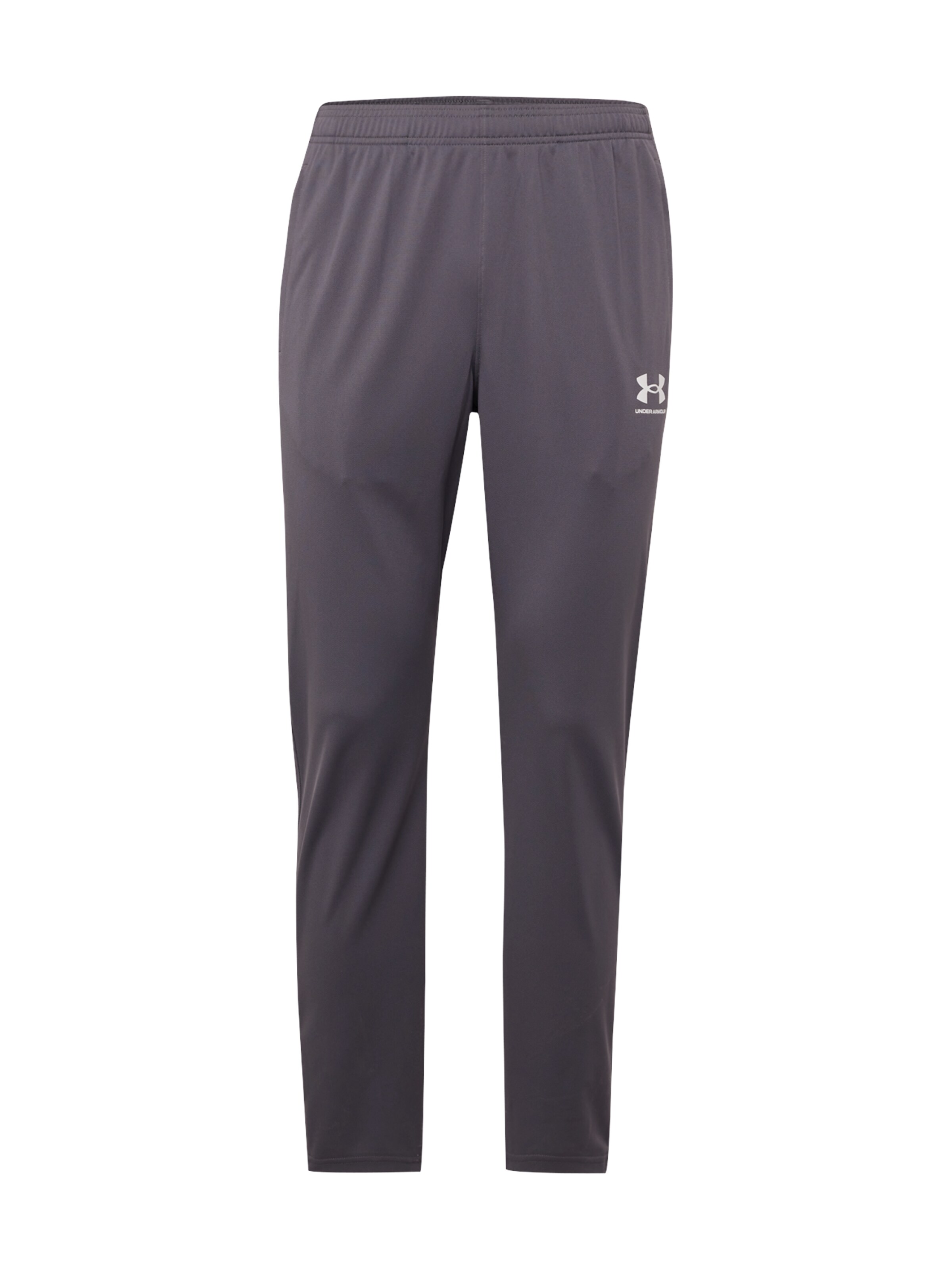UNDER ARMOUR Sporthose in Grau: Vorderseite