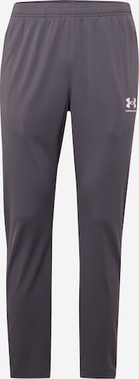 UNDER ARMOUR Športne hlače | siva barva, Prikaz izdelka