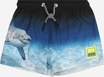 Molo Badeshorts 'Niko' in Blau: Vorderseite