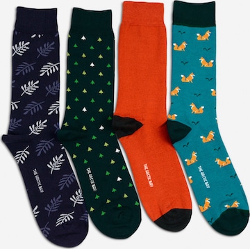 Chaussettes 'SHINRIN EDITION Gift box 4 Pack Unisex' The Arctic Bay en mélange de couleurs : devant