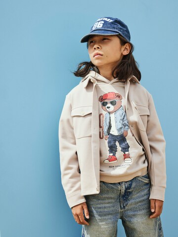 NAME IT - Sudadera 'NKMDobs' en gris