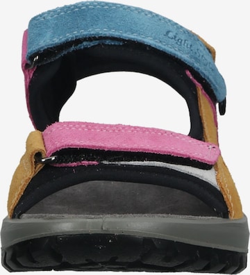 IMAC Hiking Sandals in Mixed colors