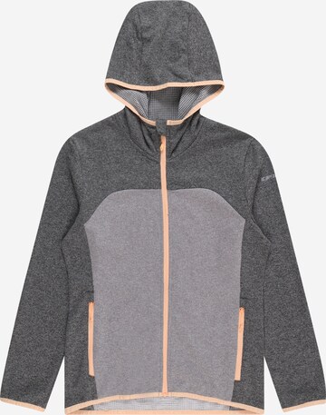 ICEPEAK Athletic Fleece Jacket 'KAMENZ' in Grey: front