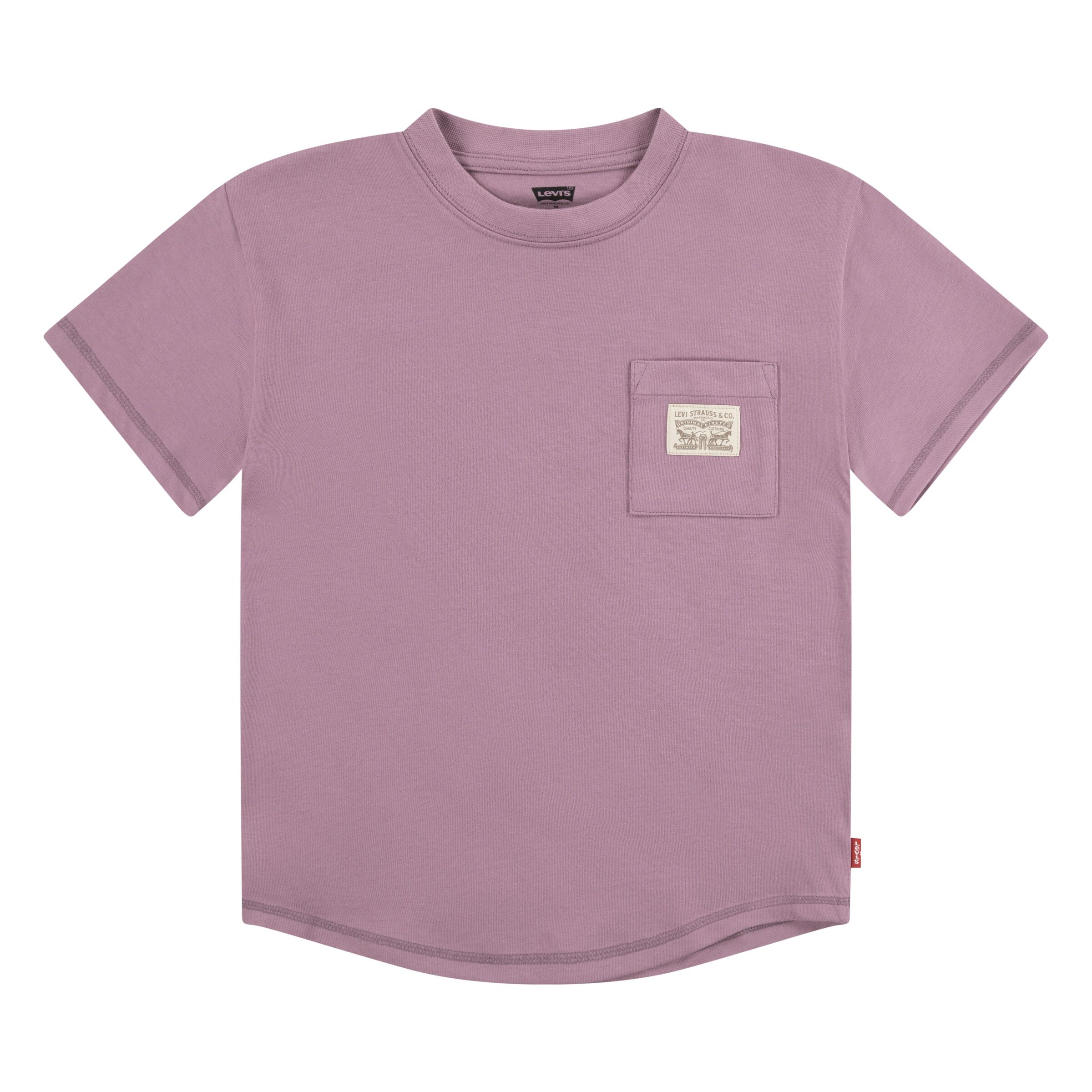 Levi's Kids Shirt in Purple: front