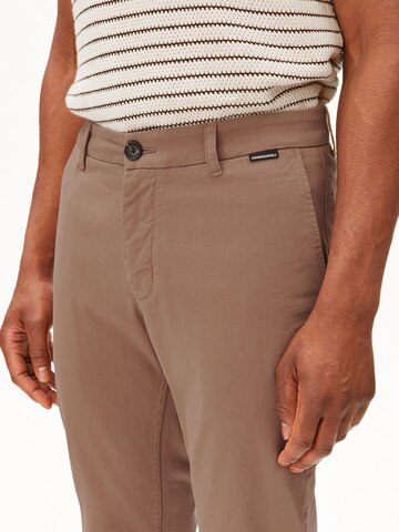 ARMEDANGELS Regular Chinohose AASTER in Braun