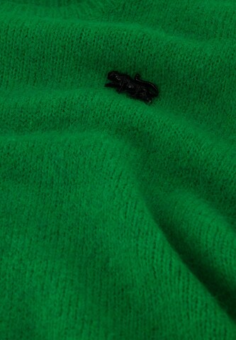 Fabienne Chapot Trui in Groen