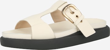 bēšs CLARKS Ādas čības 'Aristella West': no priekšpuses