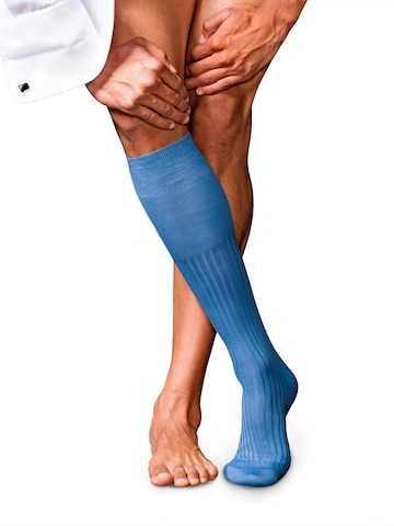 FALKE Kniestrümpfe 'No. 13 Finest Piuma Cotton'‌‌‌‌‌‌‌‌‌ in Blau: Vorderseite