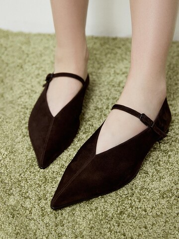 Potamy Ballet Flats with Strap in Brown